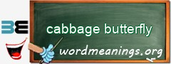 WordMeaning blackboard for cabbage butterfly